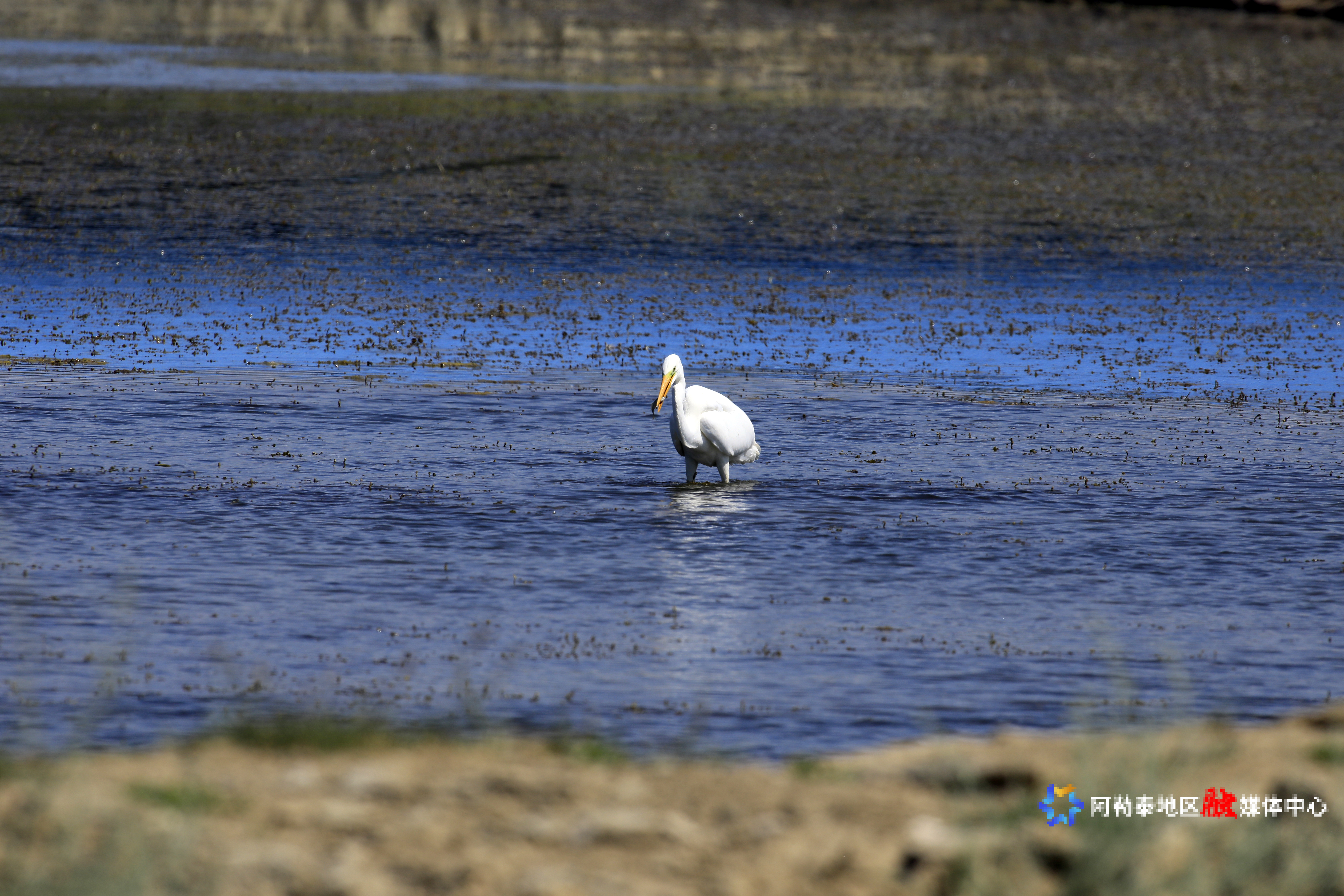 mmexport1752893477038