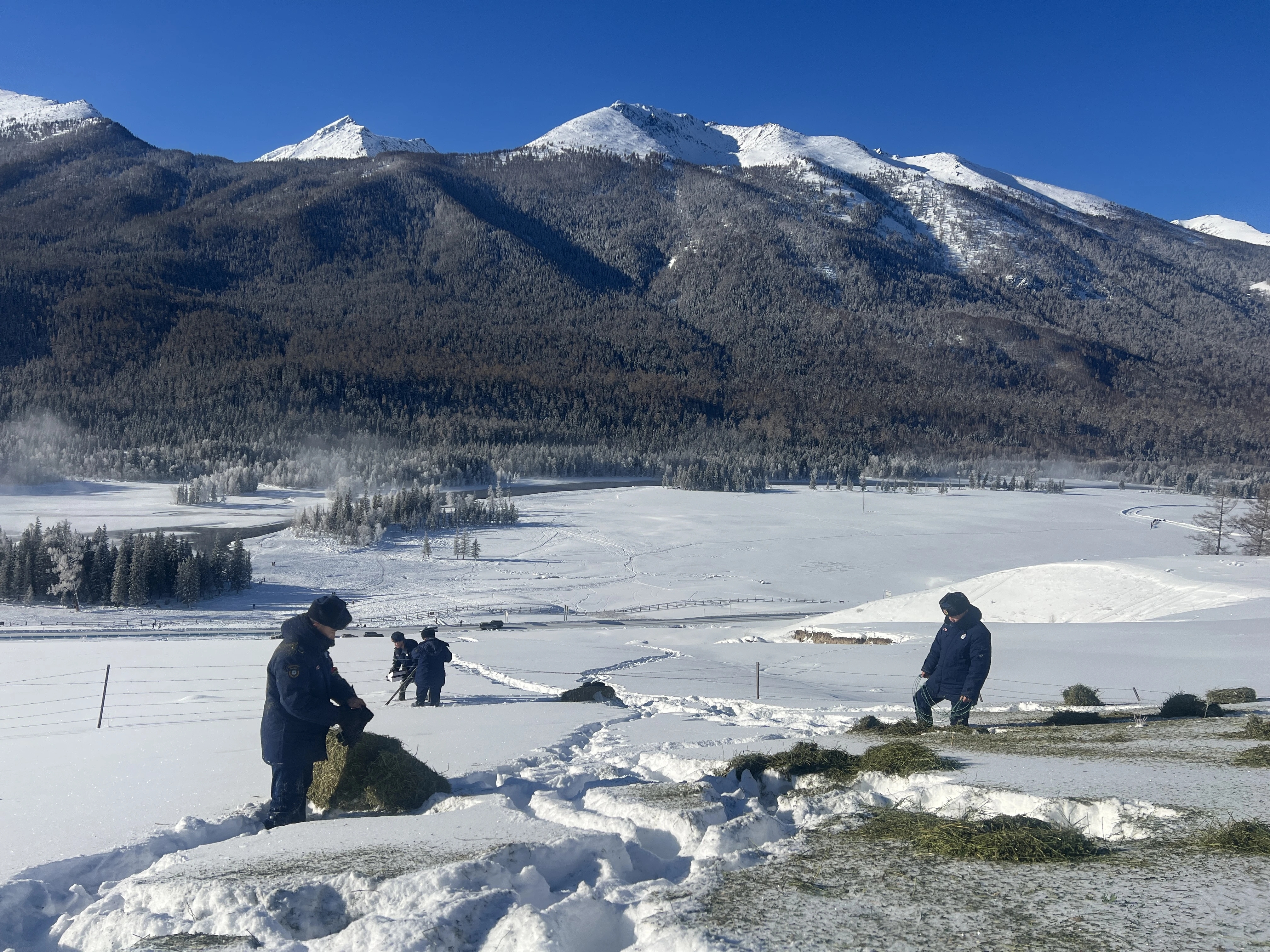 mmexport1768873840898